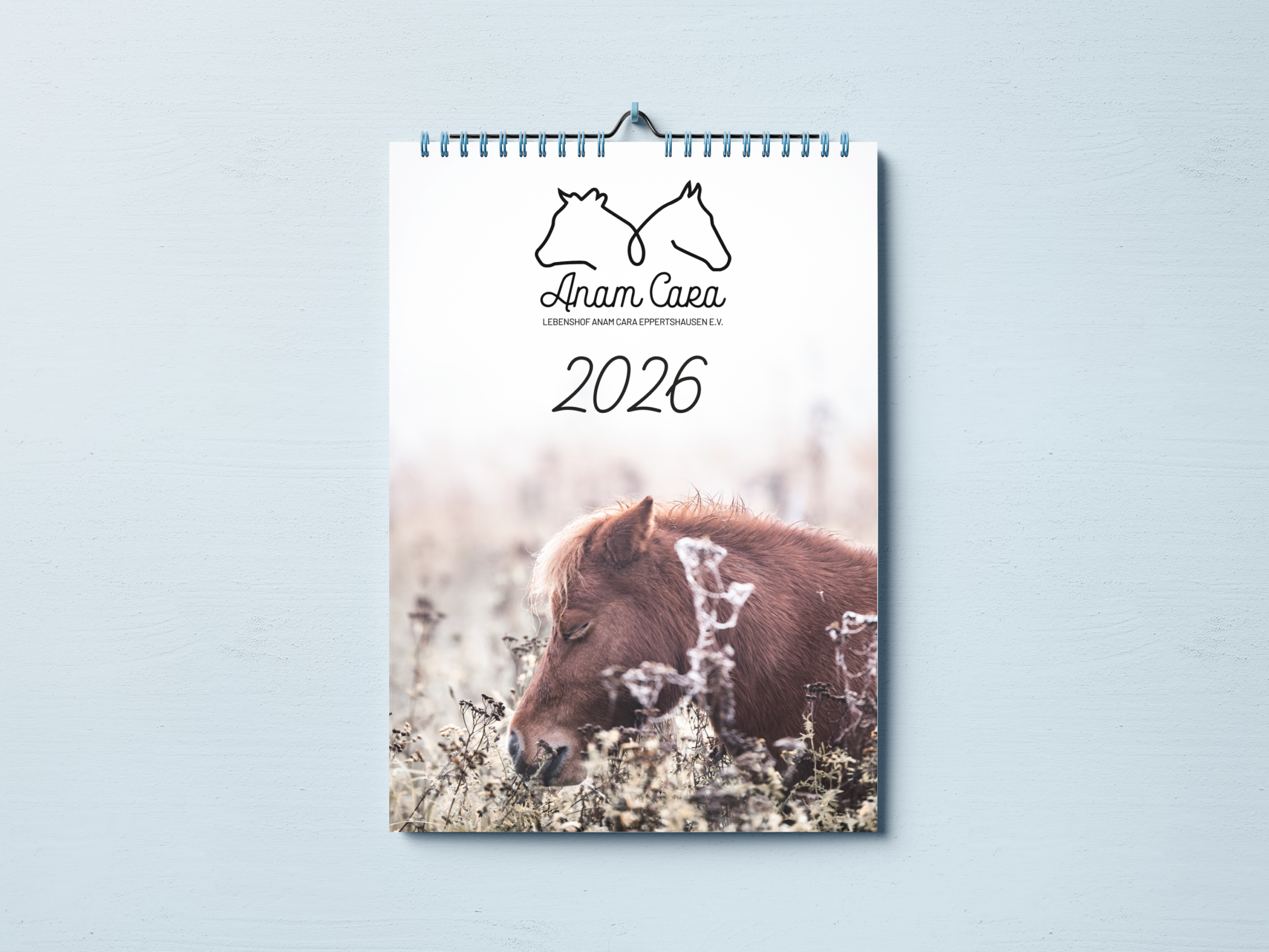 Kalender mit einem Ponykopf in Rainfarn