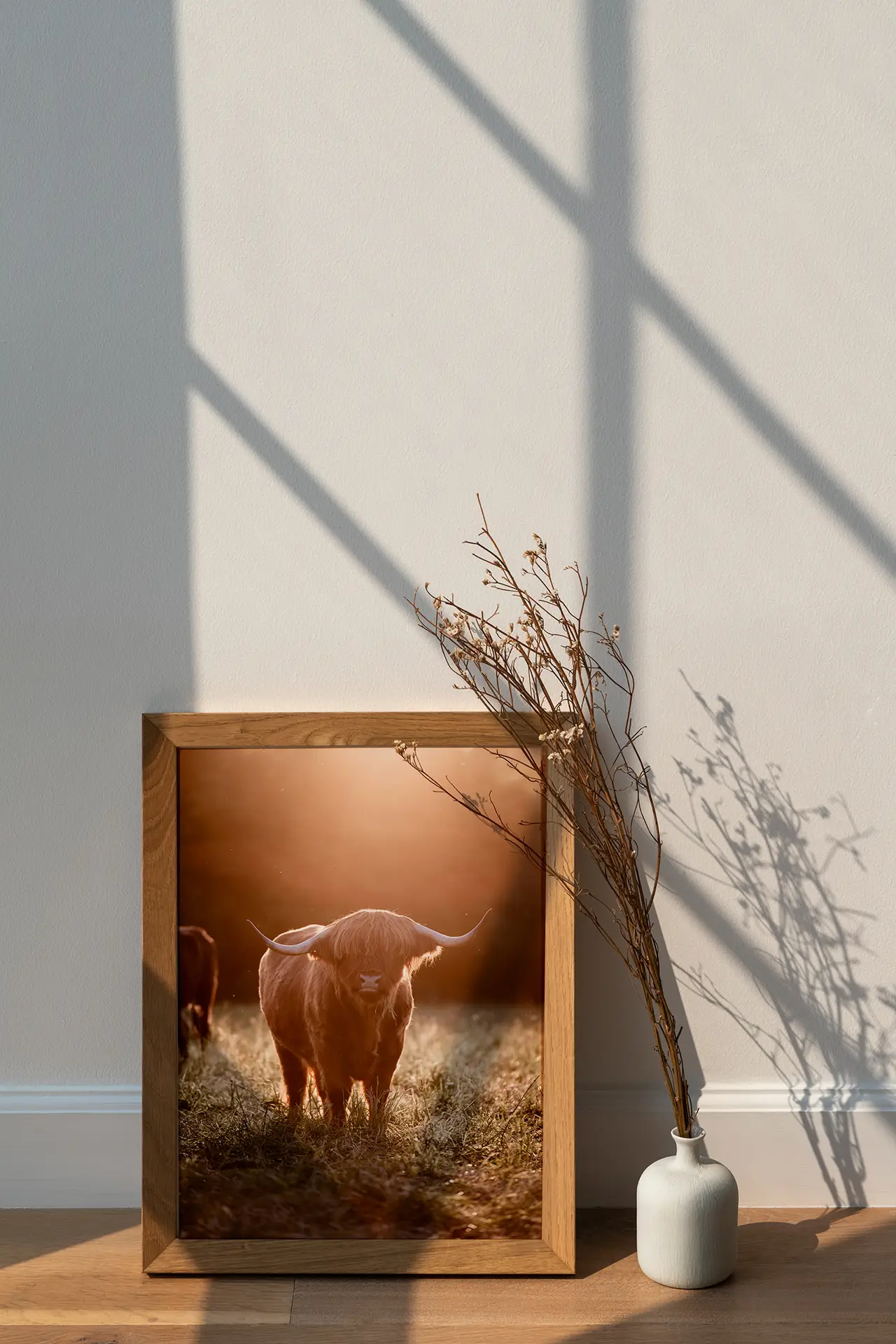 Mockup_Bronko_sunset_2025