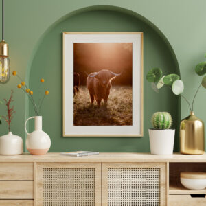 Kuhfoto "Summernight's Dream" 50x70cm