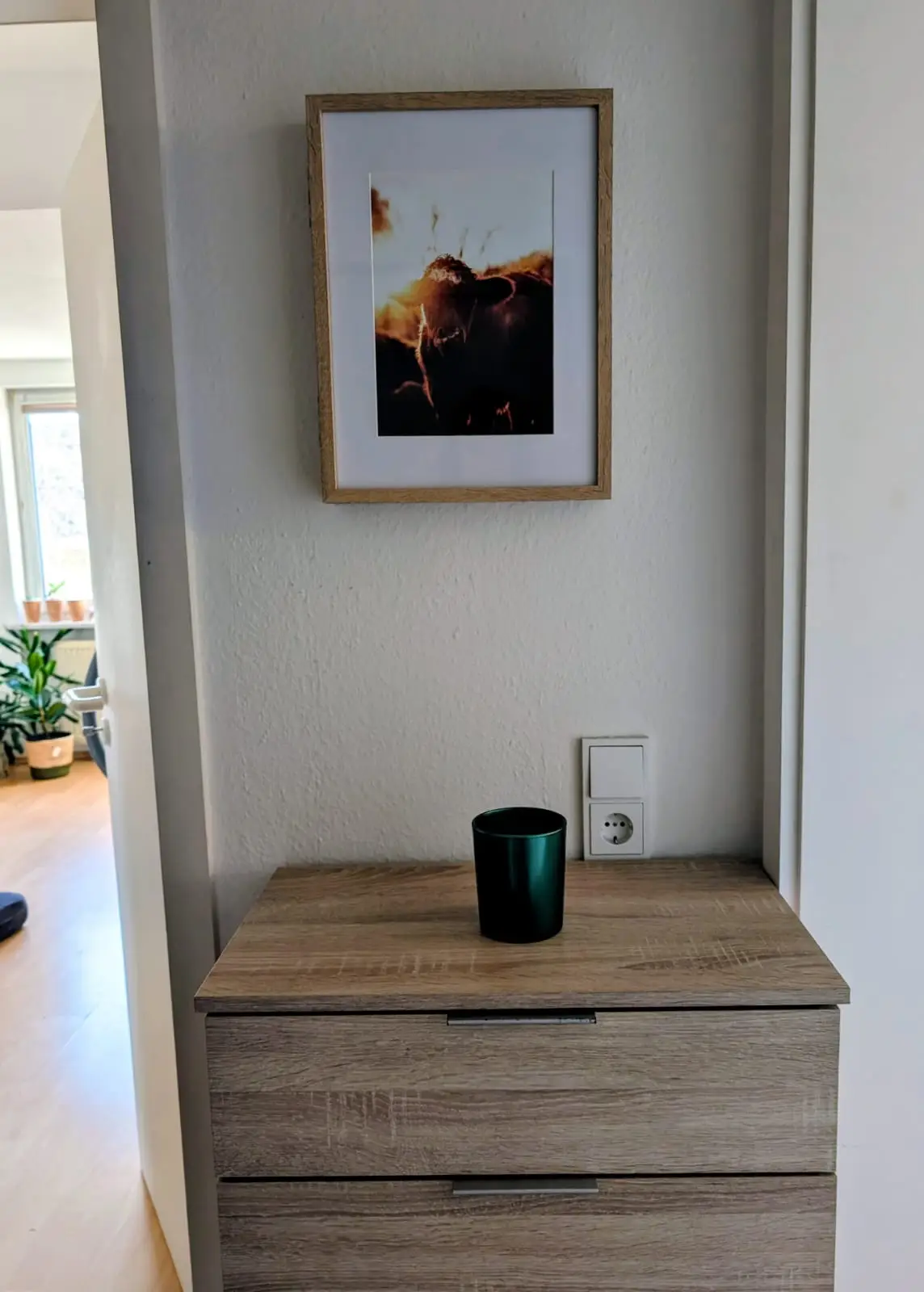 WhatsApp Image 2026-01-17 at 11.49.37 AM